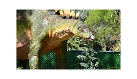 El descubrimiento interminable: Mas cosas sobre dinosaurios