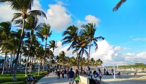 10 cosas que hacer en Miami