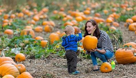Kid at pumpkin patch stock image. Image of family, outdoor 59746889