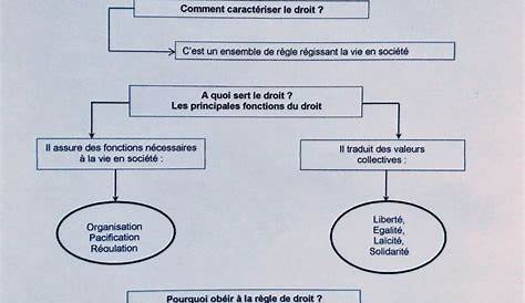 Pourquoi faire des études de droit ? - COURS ABAC