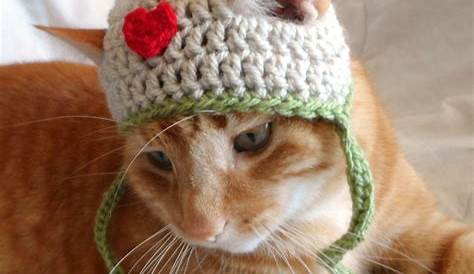 Crochet Hats for Cats Crochet