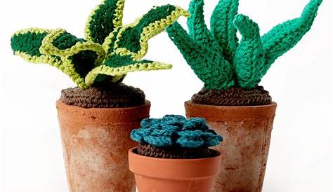 20 Free Crochet Flower Pot Patterns DIY to Make