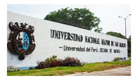 UNMSM: Analizan papel de las universidades tras los efectos del covid