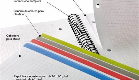 Hojas de papel de un cuaderno o libreta | Vector Premium