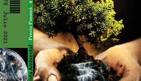Edición 245 - Educar en el cuidado del medio ambiente