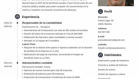 Modelo de CV Contador para Descargar : Libre