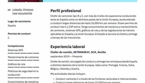 ᐉ Ejemplo de Currículum chófer | Plantilla + Guía