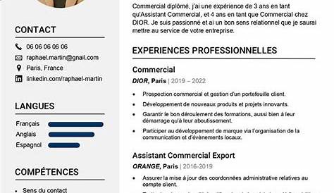 CV français : exemple pour travailler/étudier en France