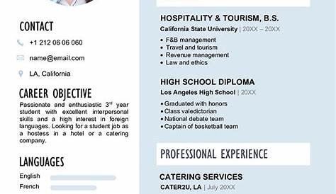 standard curriculum vitae - Google Search | Job resume format