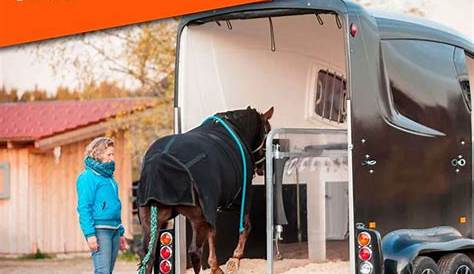 Transporte de animales vivos con garantías | Asercomex Logistics