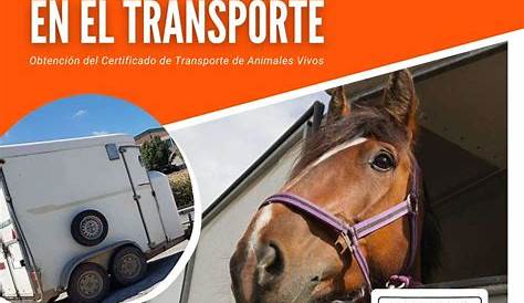 Curso de transporte de animales vivos online gratis | Actualizado