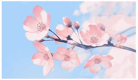 Anime Flower Wallpapers - Top Free Anime Flower Backgrounds