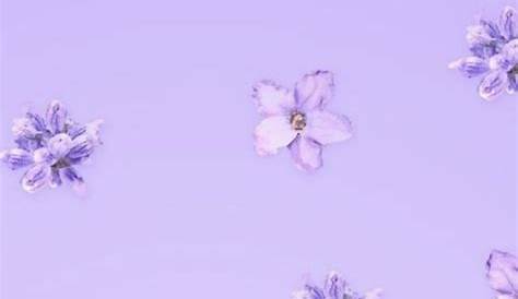 Cute Basic Wallpapers Iphone Purple