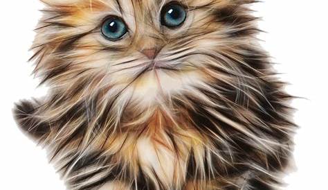 PNG Cute Cat Transparent Cute Cat.PNG Images. | PlusPNG