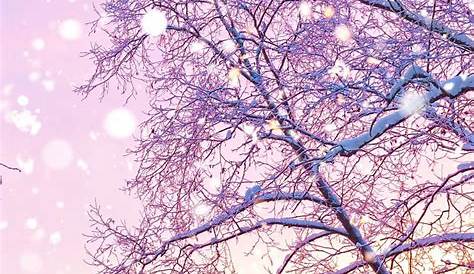 Cute Iphone Backgrounds Winter