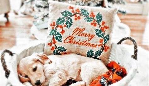 Cute Preppy Christmas Wallpaper