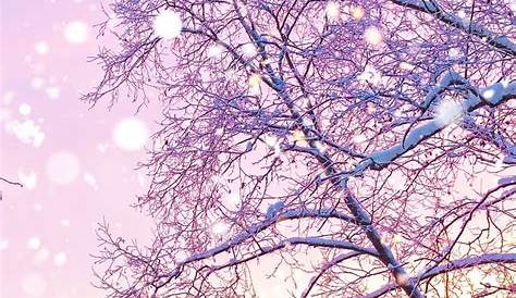 Cute Winter Wallpapers Aesthetic