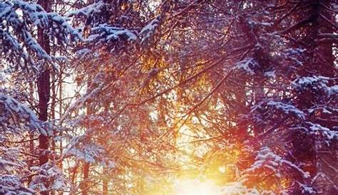 Cute Winter Wallpapers Aesthetic Iphone 19++ Stunning