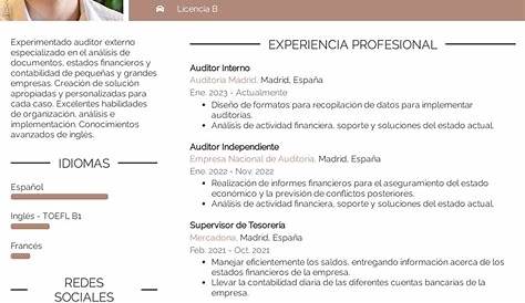 Professional Cv For Auditor / Internal Auditor - Resume Samples and