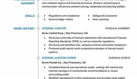 Sample Cv For Internal Auditor Professional Cv For Auditor Internal