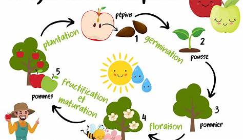 Le cycle de la vie ! - Qualisopht