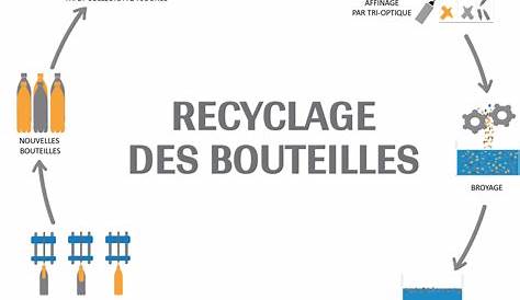 Recyclage de la bouteille en plastique - Tri-o Greenwishes - Groupe TGW