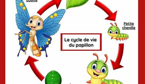 les animaux grandissent cycle 2