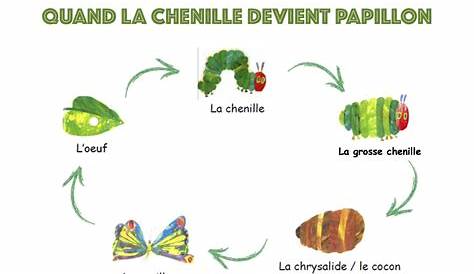 la chenille | Science for kids, French activities, Learn french