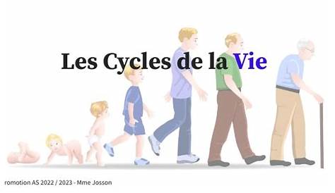 LE CYCLE DE VIE