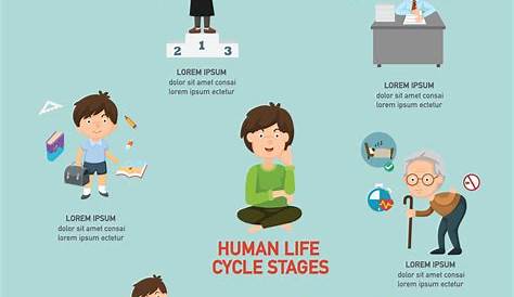 Icono de silueta de ciclo de vida humana. Bebé recién nacido, niño