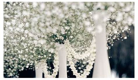 Decor Trend We Love: Baby's Breath