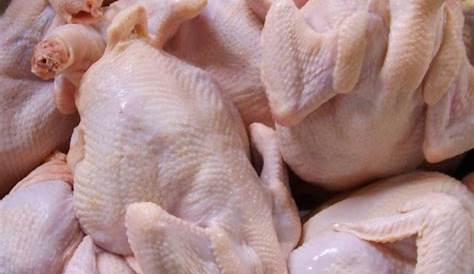 Ayam ras pedagang Pasar Grogol Jakarta tak terpengaruh penurunan harga