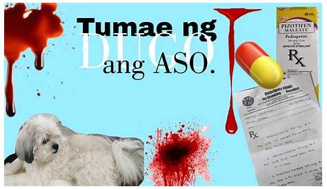 Pagsuka ng dugo mga dahilan alamin! | blood vomiting causes and