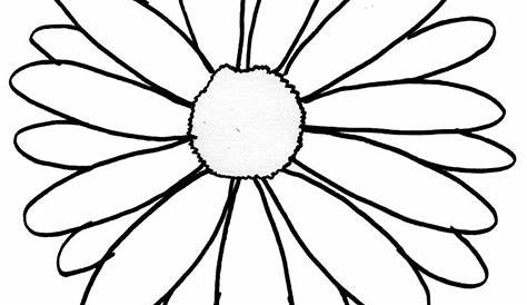 Free Daisy Flower Outline, Download Free Daisy Flower Outline png