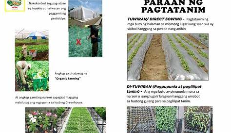 Ipaliwanag ang naging ugnayan ng kasaysayan at panitikan sa paraan at