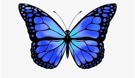 Flying Blue Butterflies PNG Image | PNG Arts