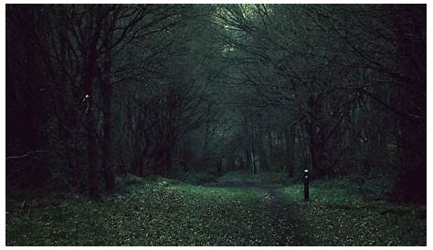 Pin by Wintershadows on Dreamlike | Dark forest aesthetic, Dark