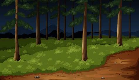 Forest scene with trees and trail at night 303514 Vector Art at Vecteezy