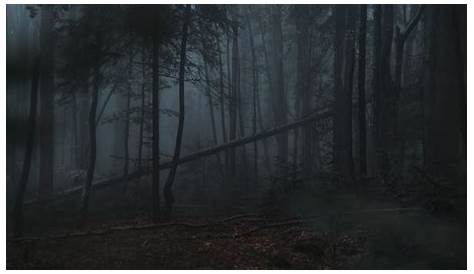 🔥 [44+] HD Dark Forest Wallpaper | WallpaperSafari