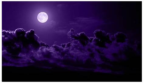 purple image by Sophi Thorsen | Dark purple aesthetic, Purple aesthetic