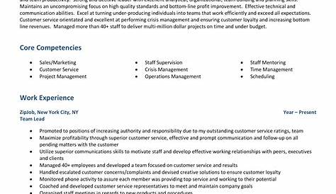 Database Team Lead Resume Examples And Developer And Tips Zippia