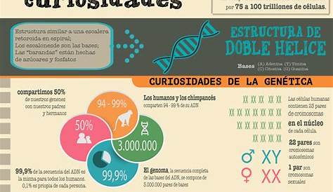 #Infografía: Curiosidades del ADN | Enseñanza biología, Estudiar