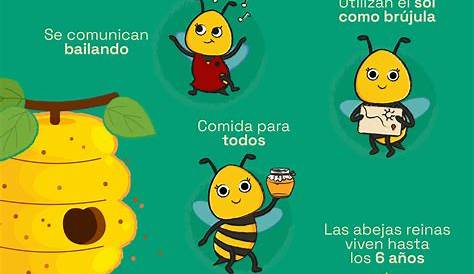 Las abejas | Infografia de animales, Informacion de animales, Abejas