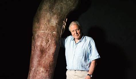 Attenborough and the Giant Dinosaur