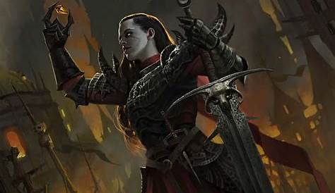 Pin by Erow Hunter on homebrew options | Dnd paladin, Dungeons and