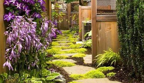 Diseño de jardines. Consejos fáciles para principiantes. #Jardinzen