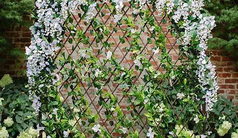 Decorate White Inside Lattice For Spring With Artificial Fern