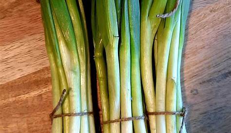 Decorative Spring Onions: A Guide To Adding Color And Flavor To Your