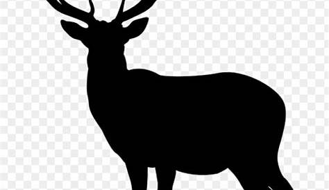 Deer PNG Image - PurePNG | Free transparent CC0 PNG Image Library