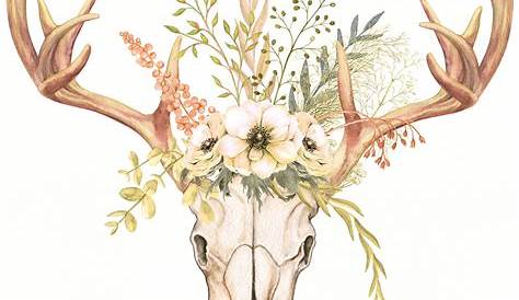 "Deer skull with flowers" Sticker for Sale by lynseystrese | Redbubble